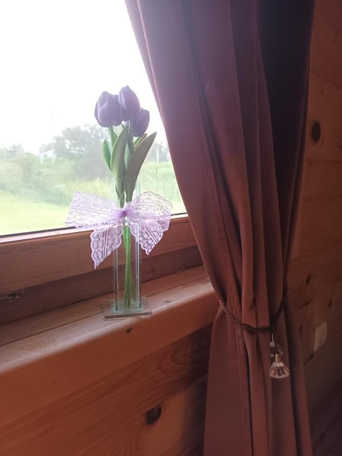 Lolini Bungalovi Нови Сад Екстериор снимка