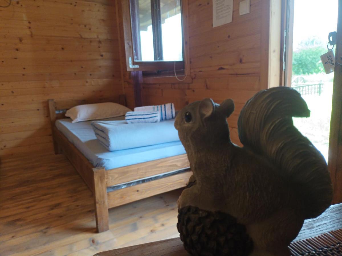 Lolini Bungalovi Нови Сад Екстериор снимка