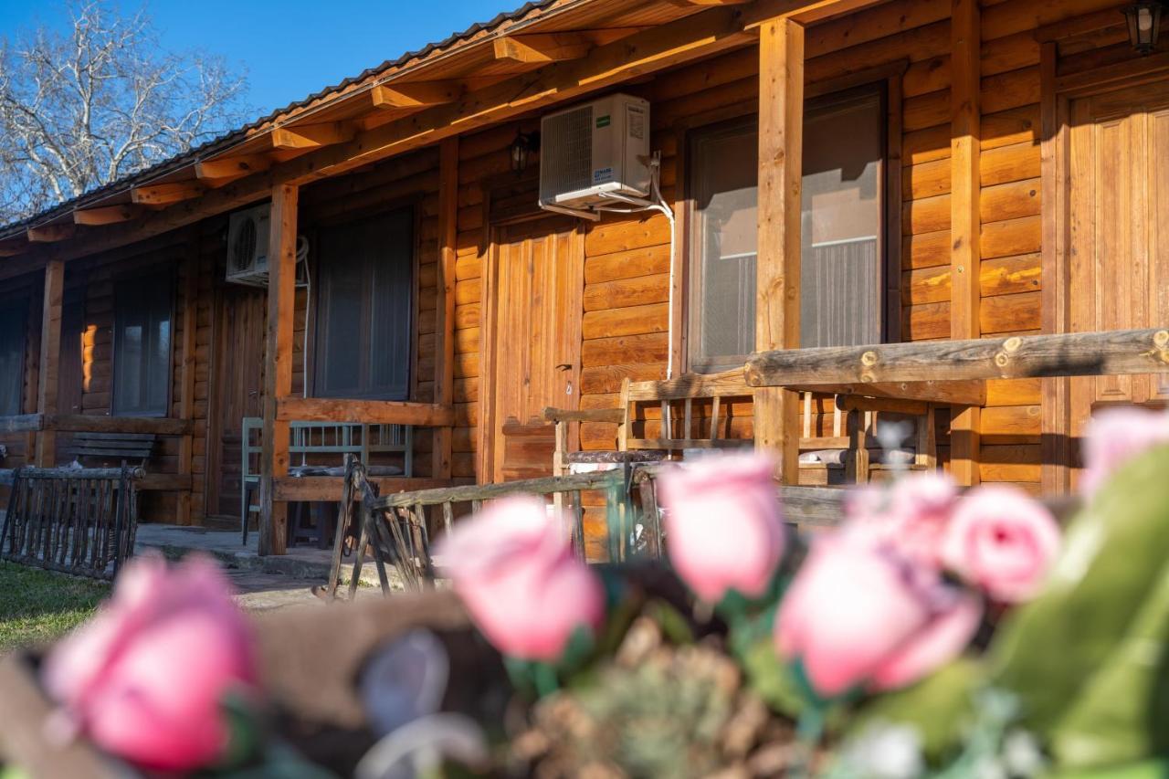 Lolini Bungalovi Нови Сад Екстериор снимка