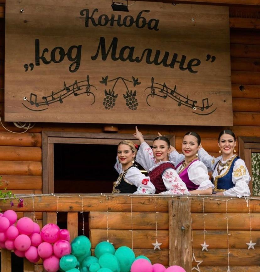 Lolini Bungalovi Нови Сад Екстериор снимка